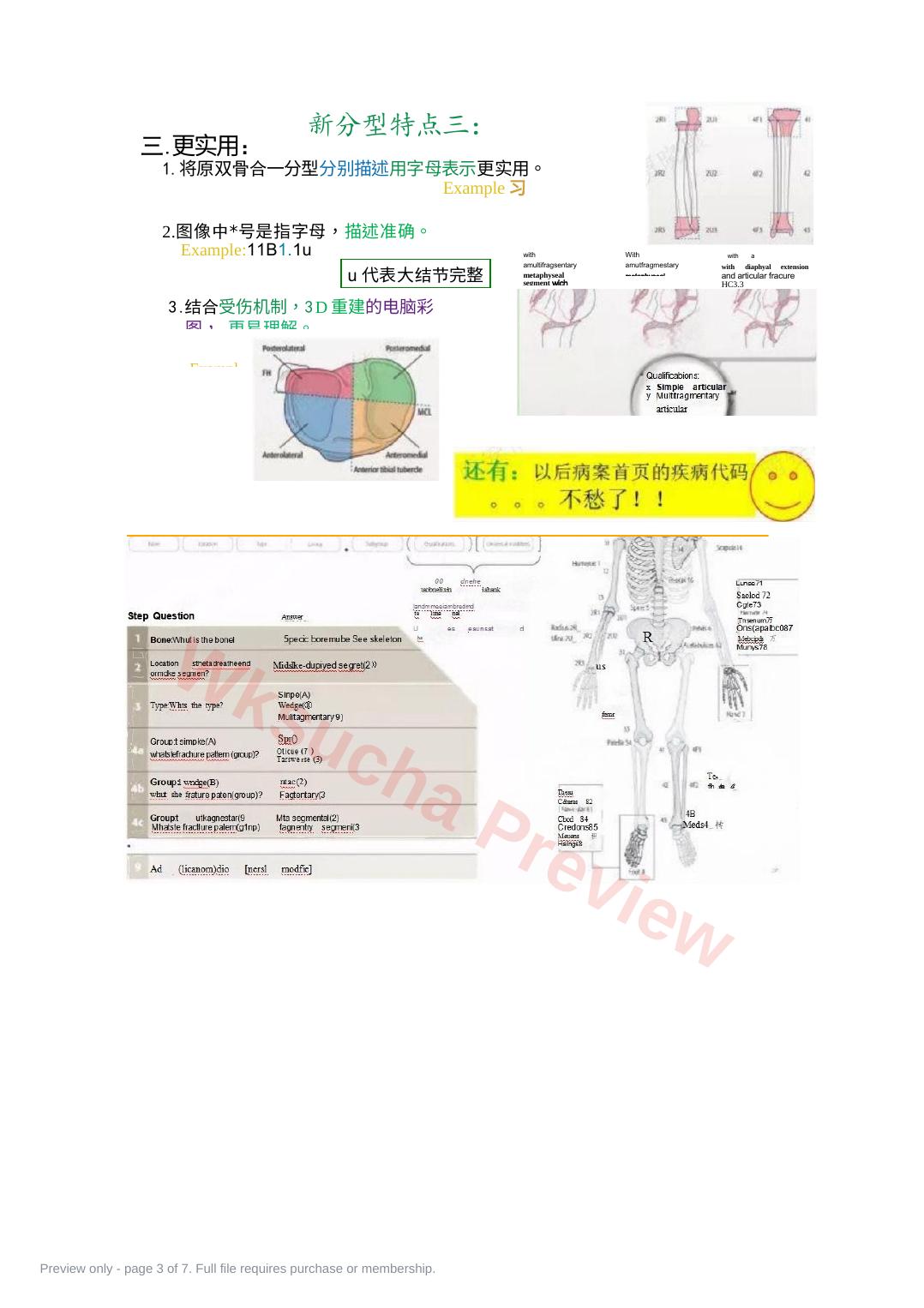 预览第 3 页