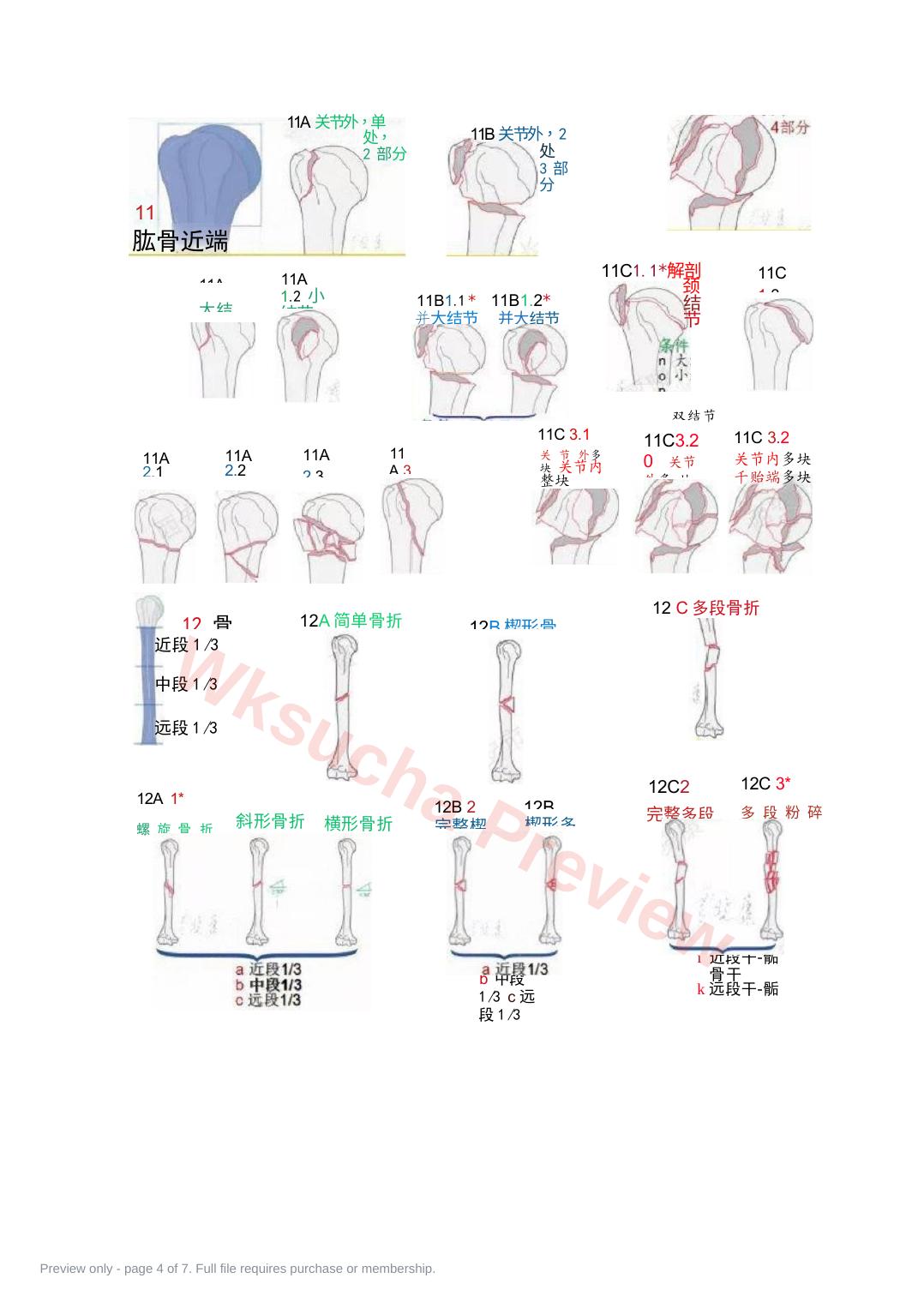 预览第 4 页