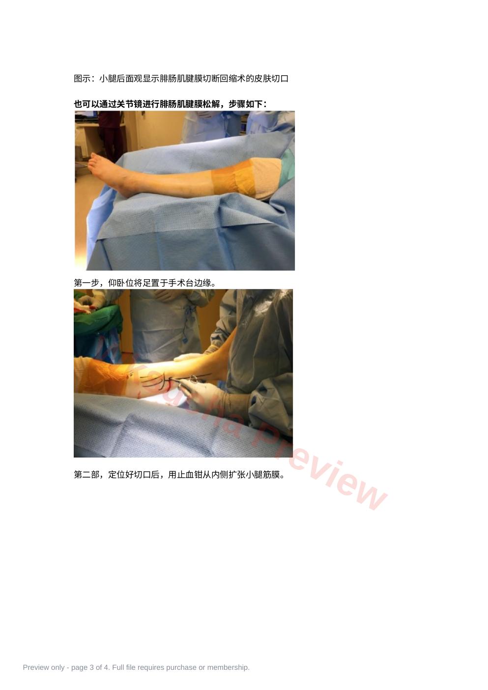 预览第 3 页