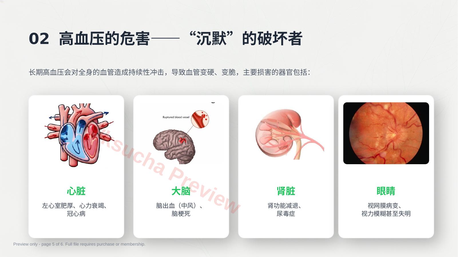 预览第 5 页