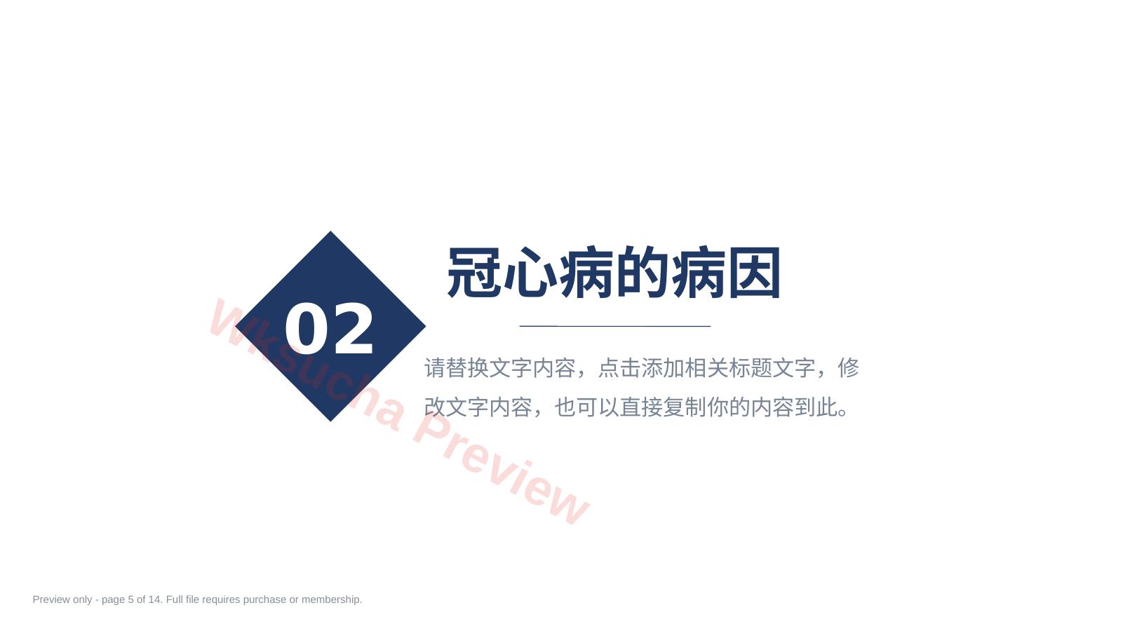 预览第 5 页