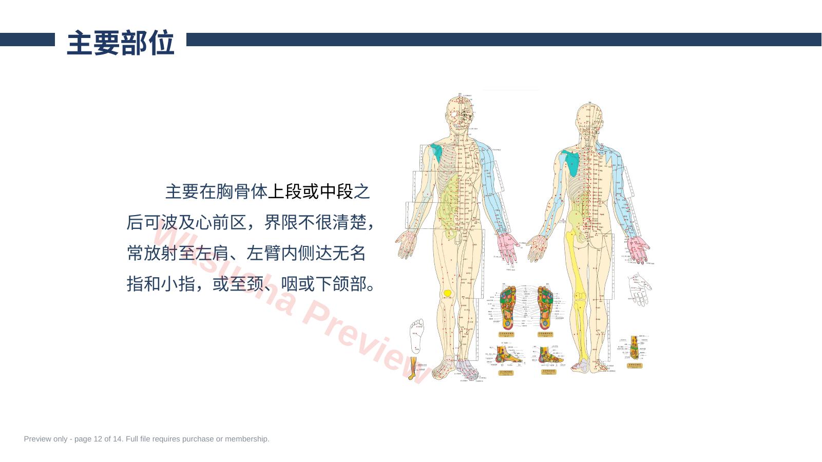 预览第 12 页