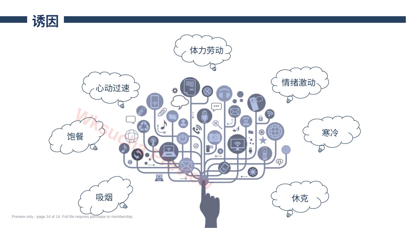 预览第 14 页