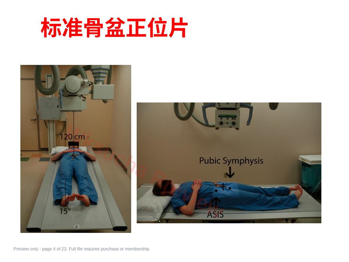 预览第 4 页