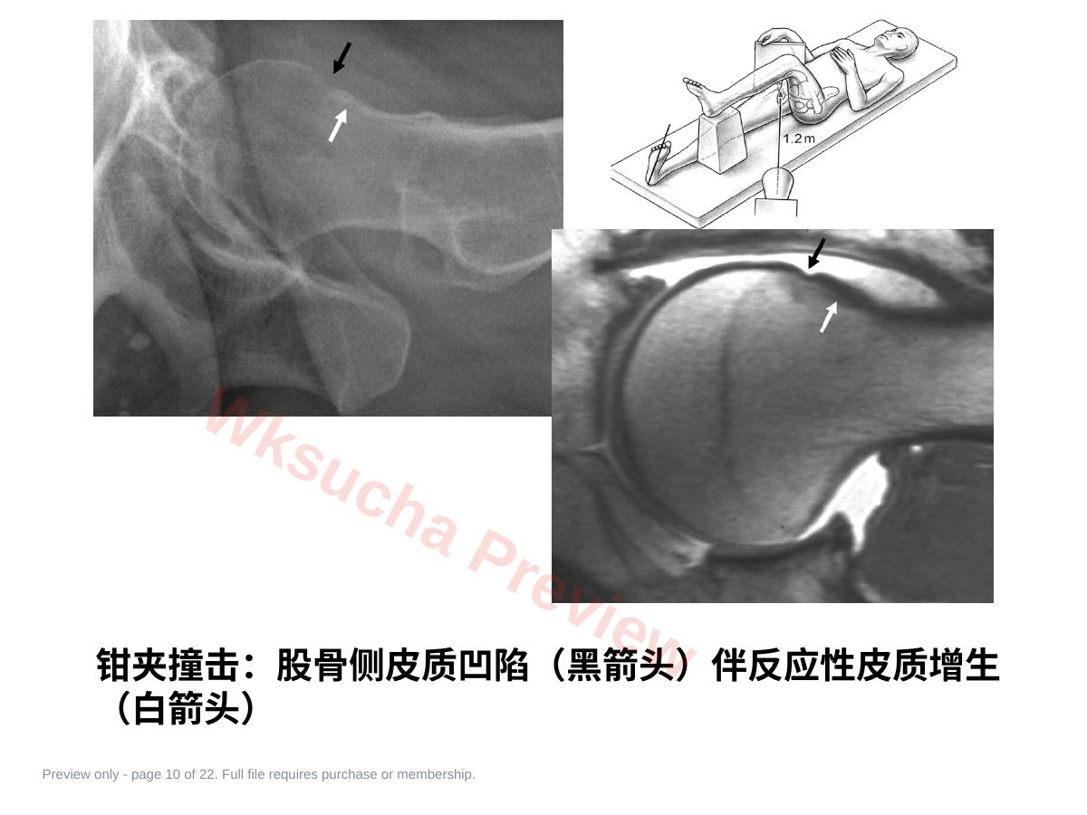 预览第 10 页
