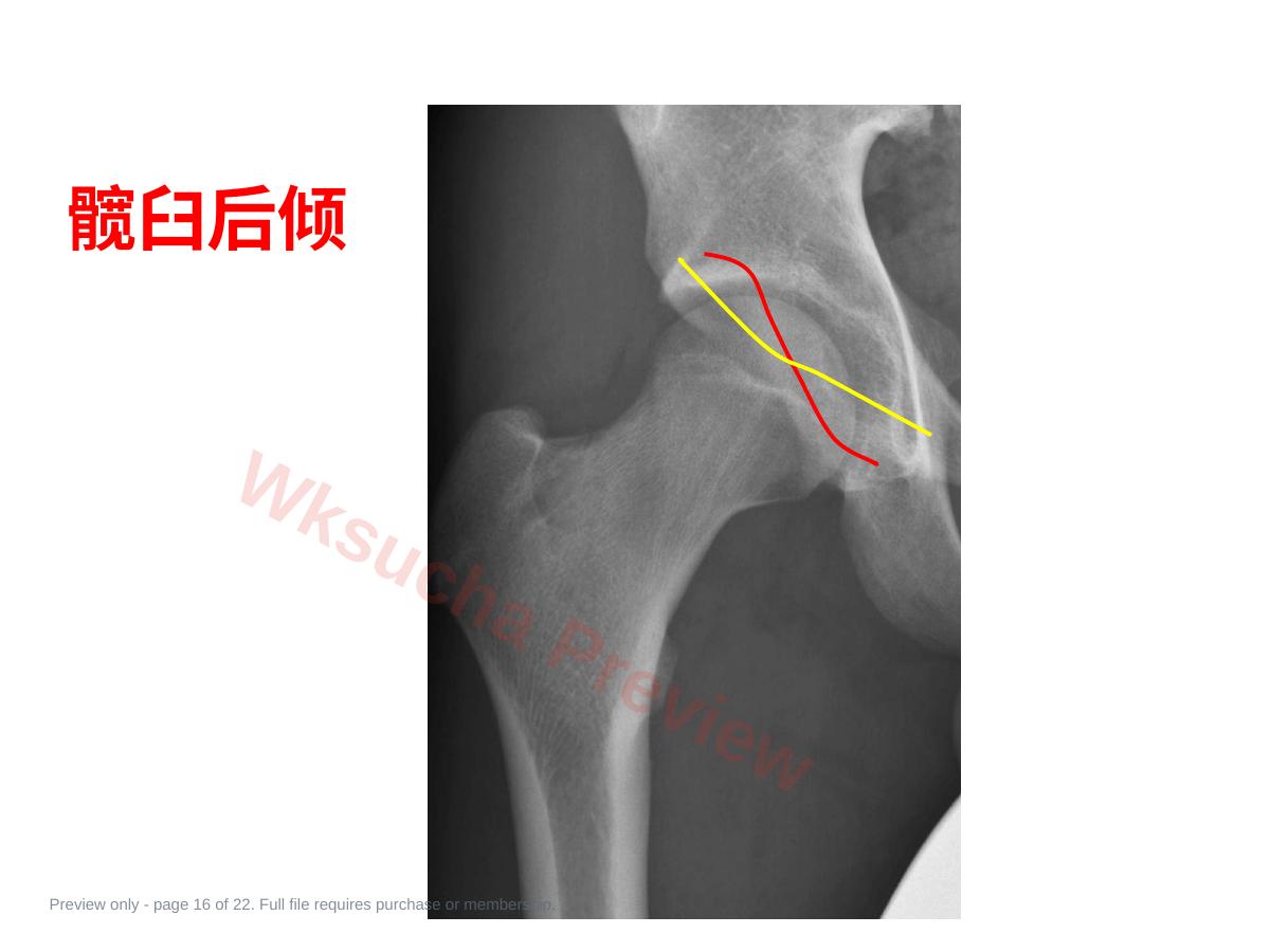 预览第 16 页