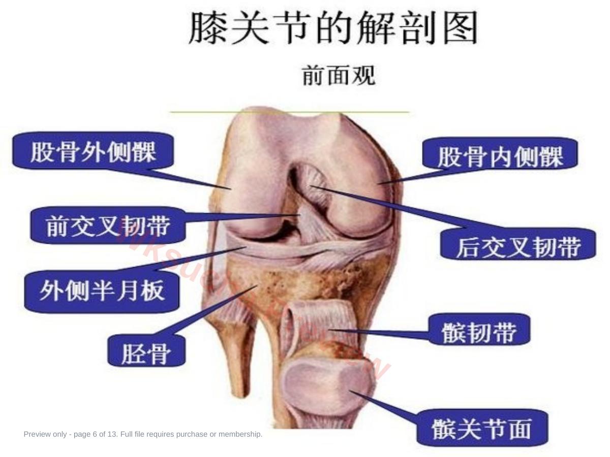 预览第 6 页