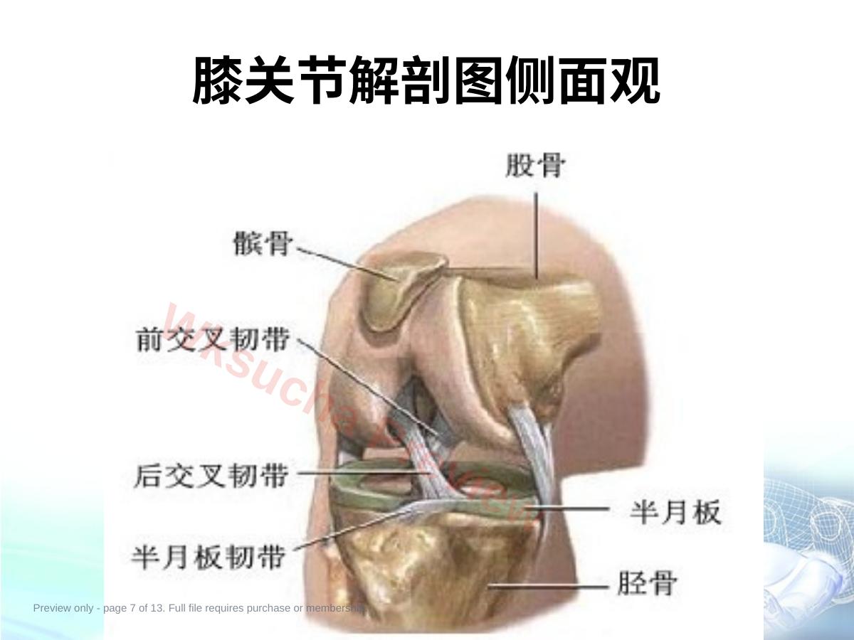 预览第 7 页