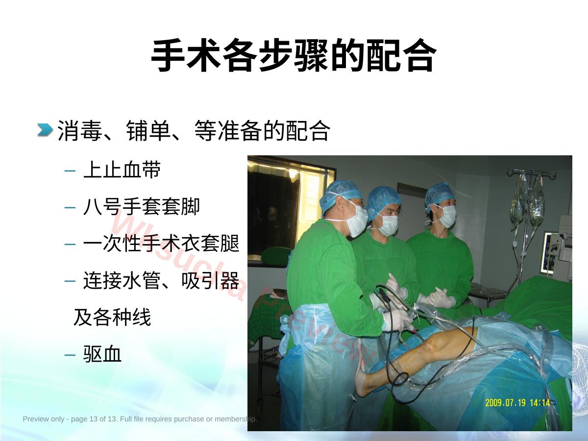 预览第 13 页
