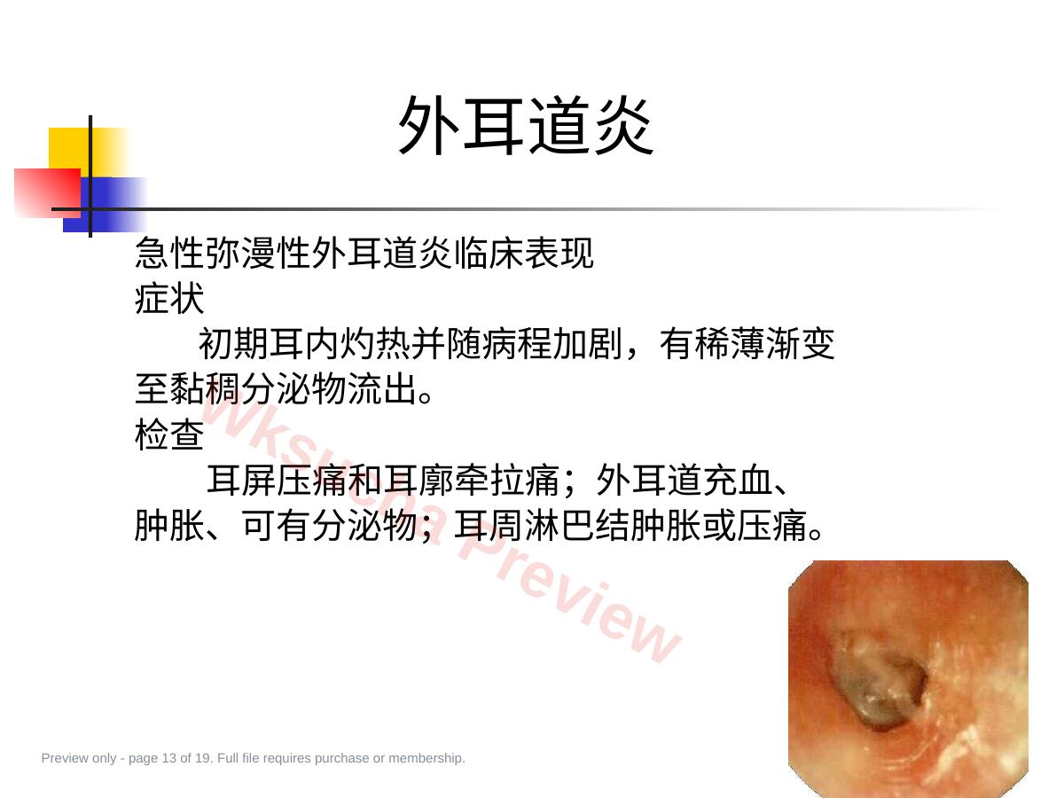 预览第 13 页