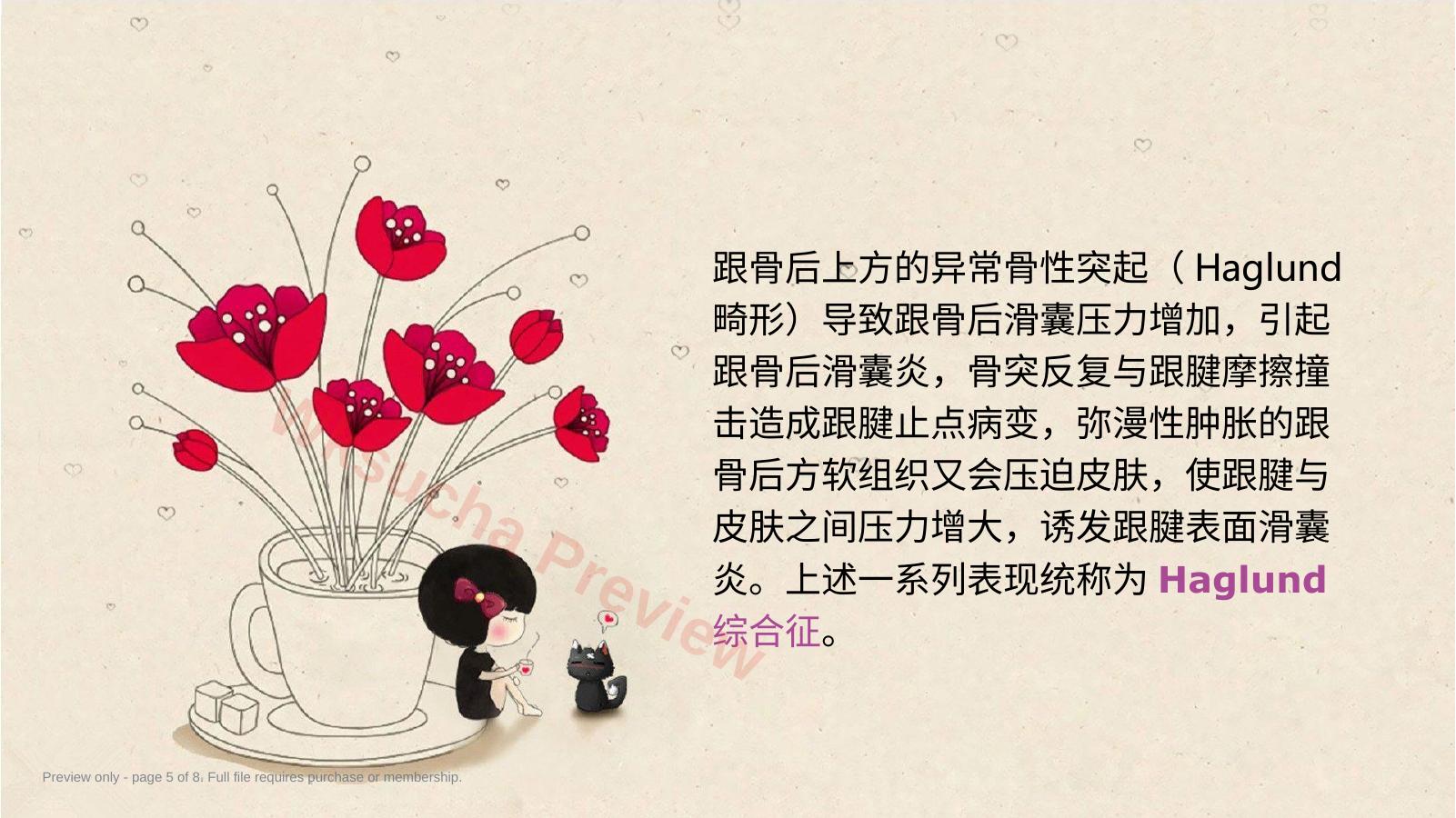 预览第 5 页