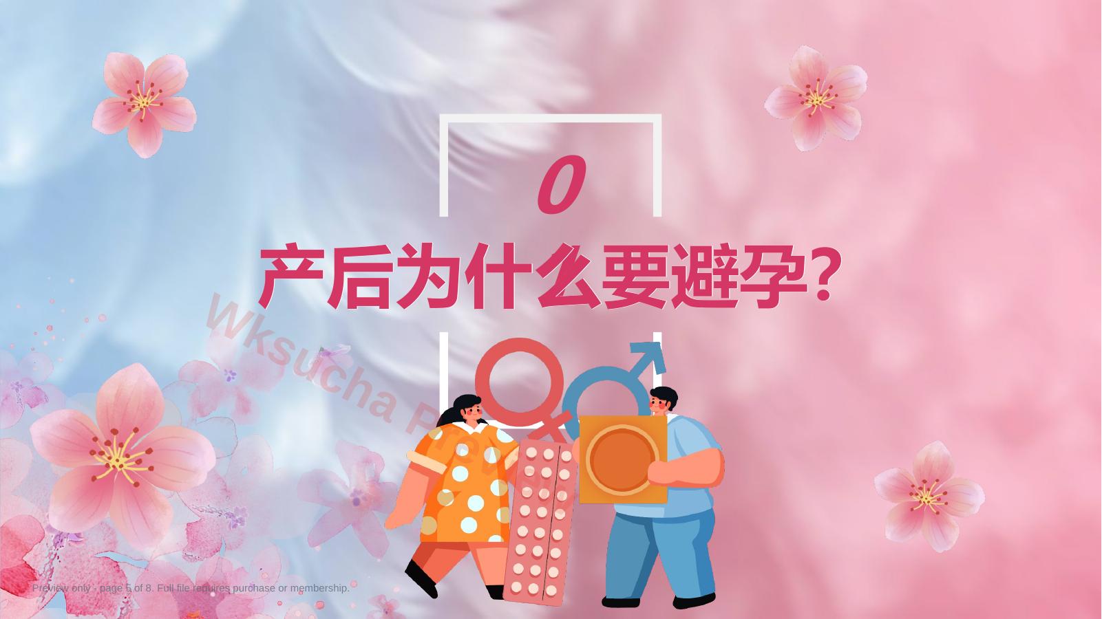 预览第 5 页