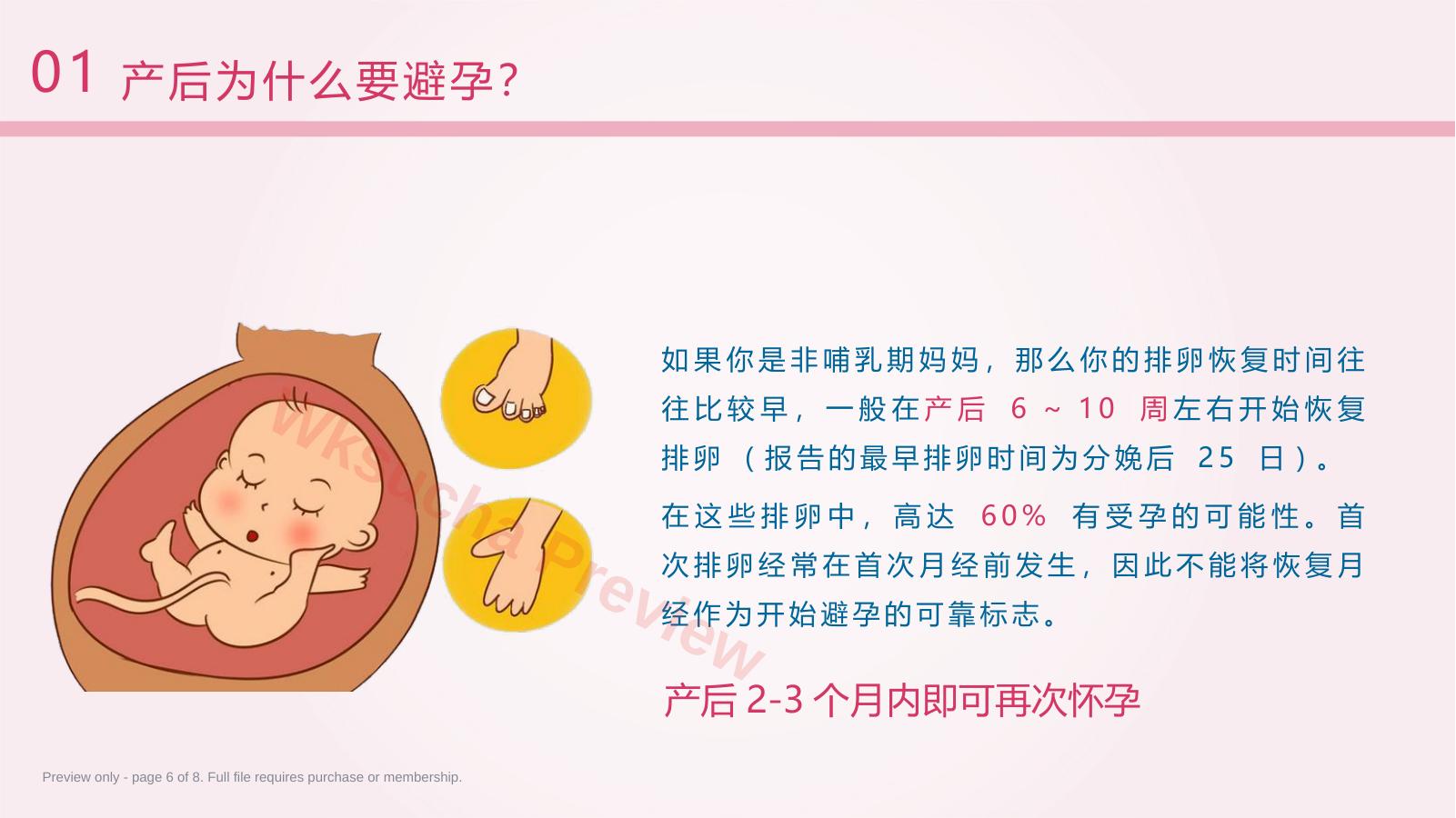 预览第 6 页