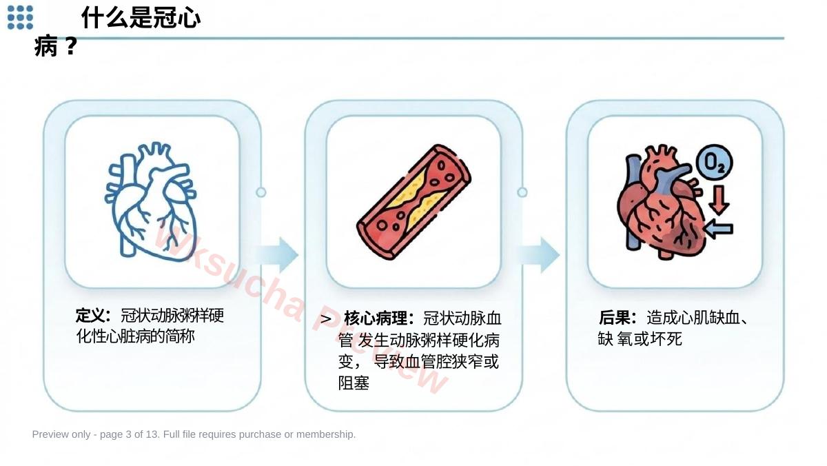 预览第 3 页