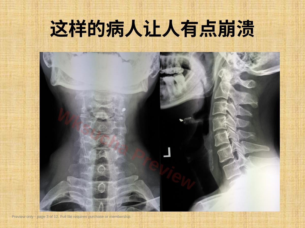 预览第 3 页