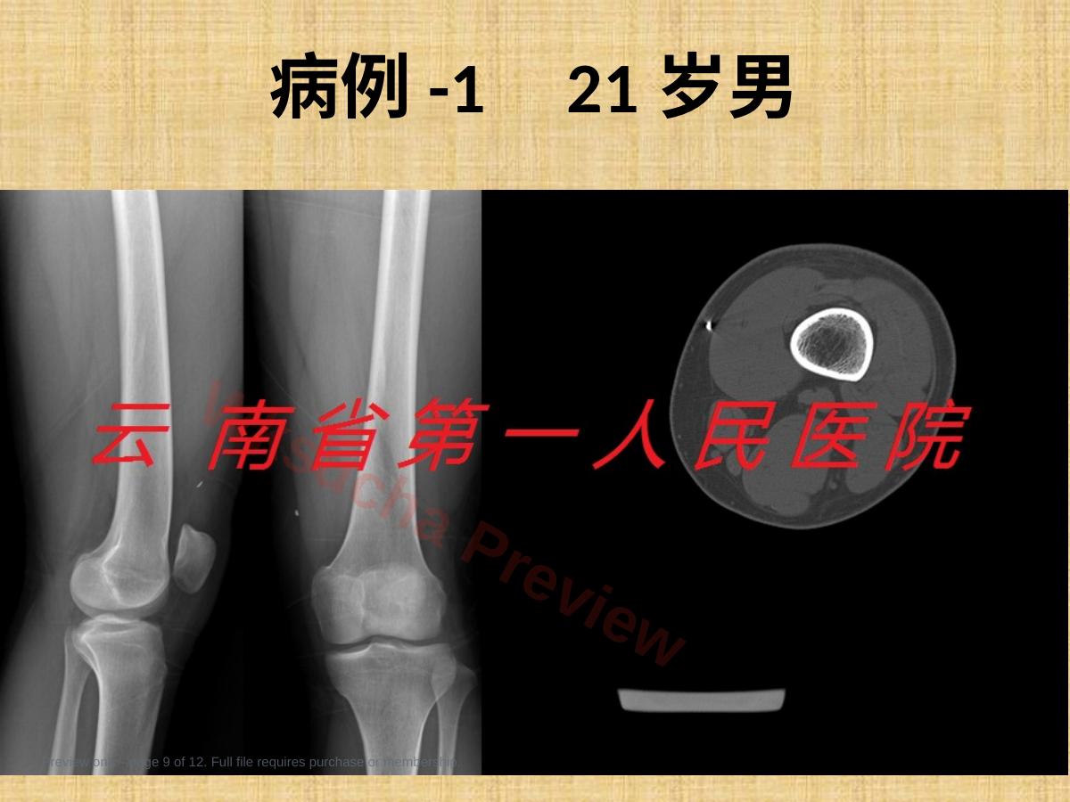 预览第 9 页