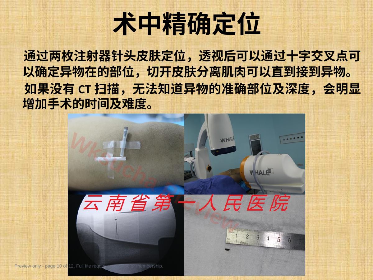预览第 10 页