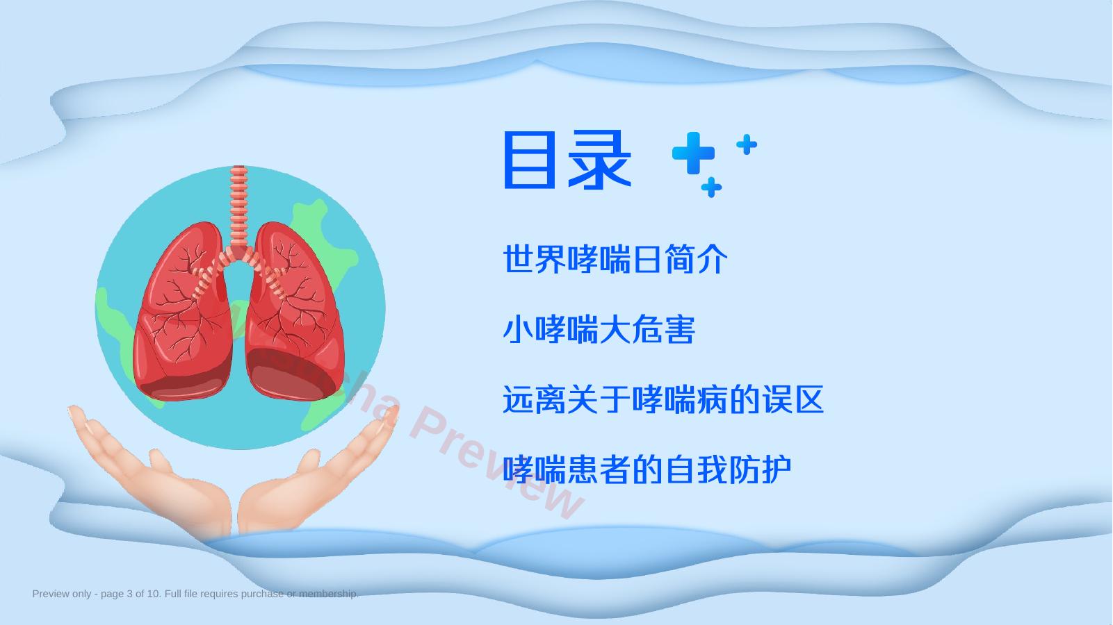预览第 3 页