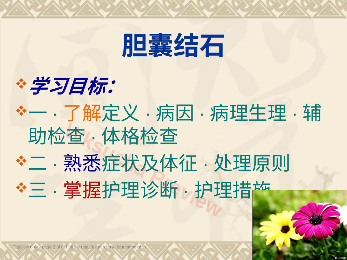 预览第 3 页