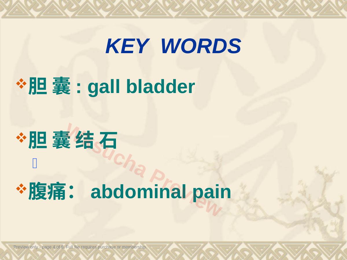 预览第 4 页