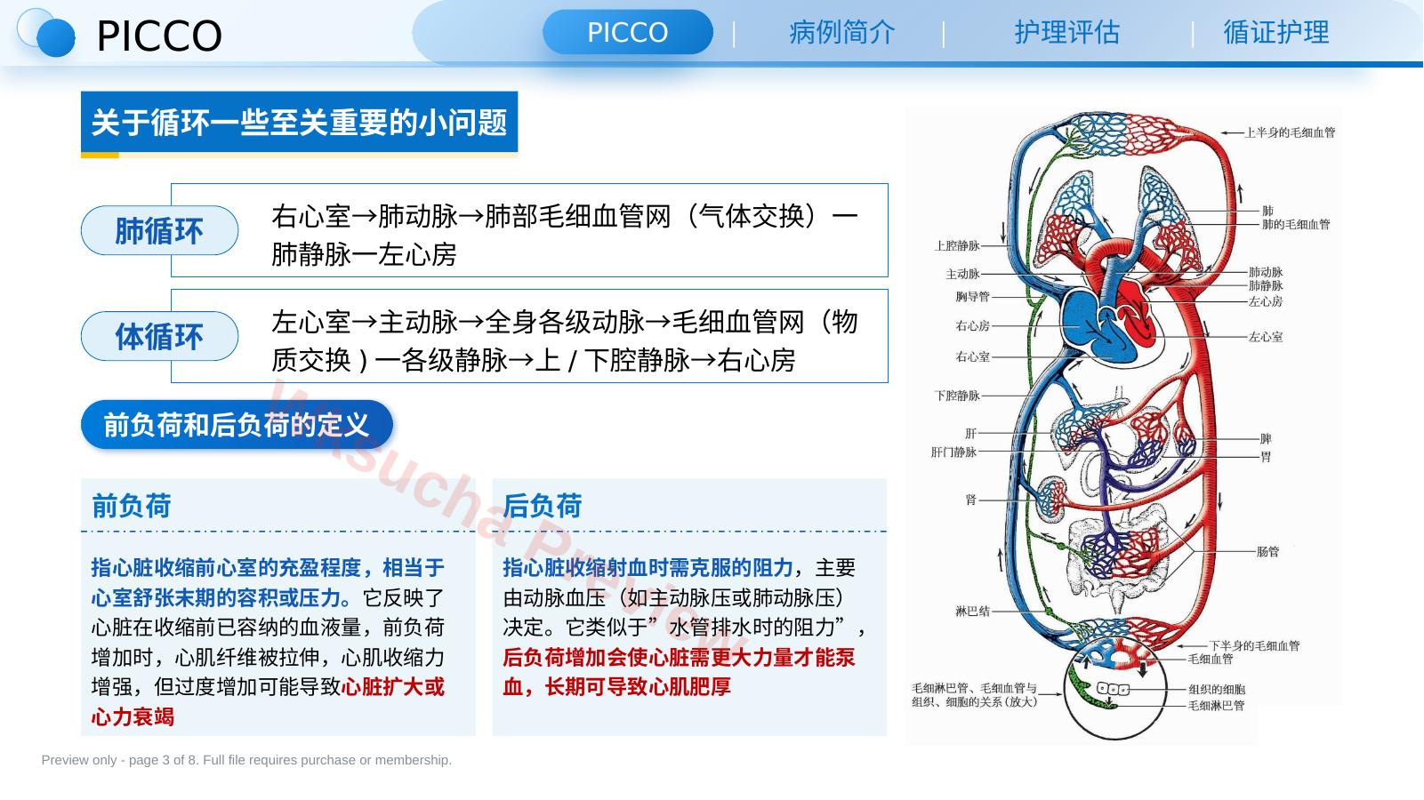 预览第 3 页