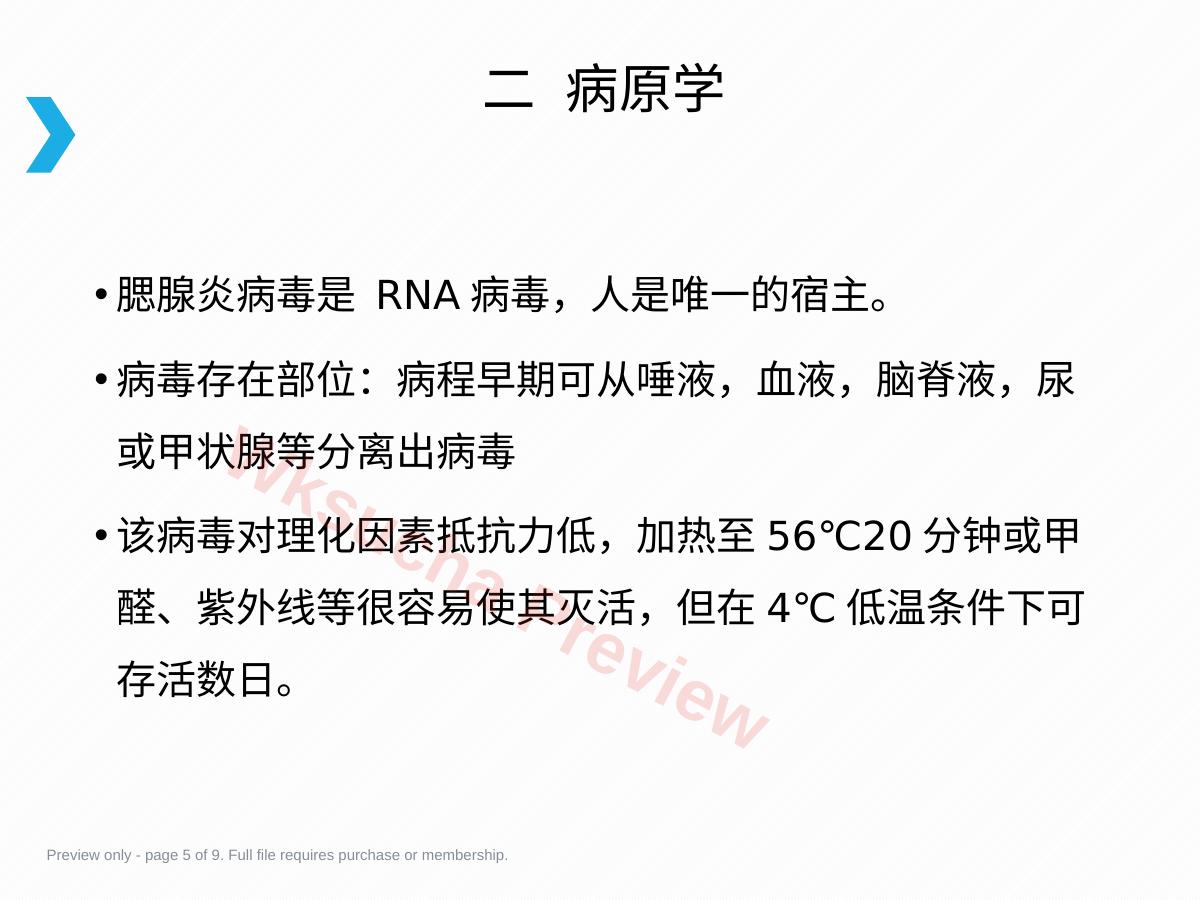 预览第 5 页