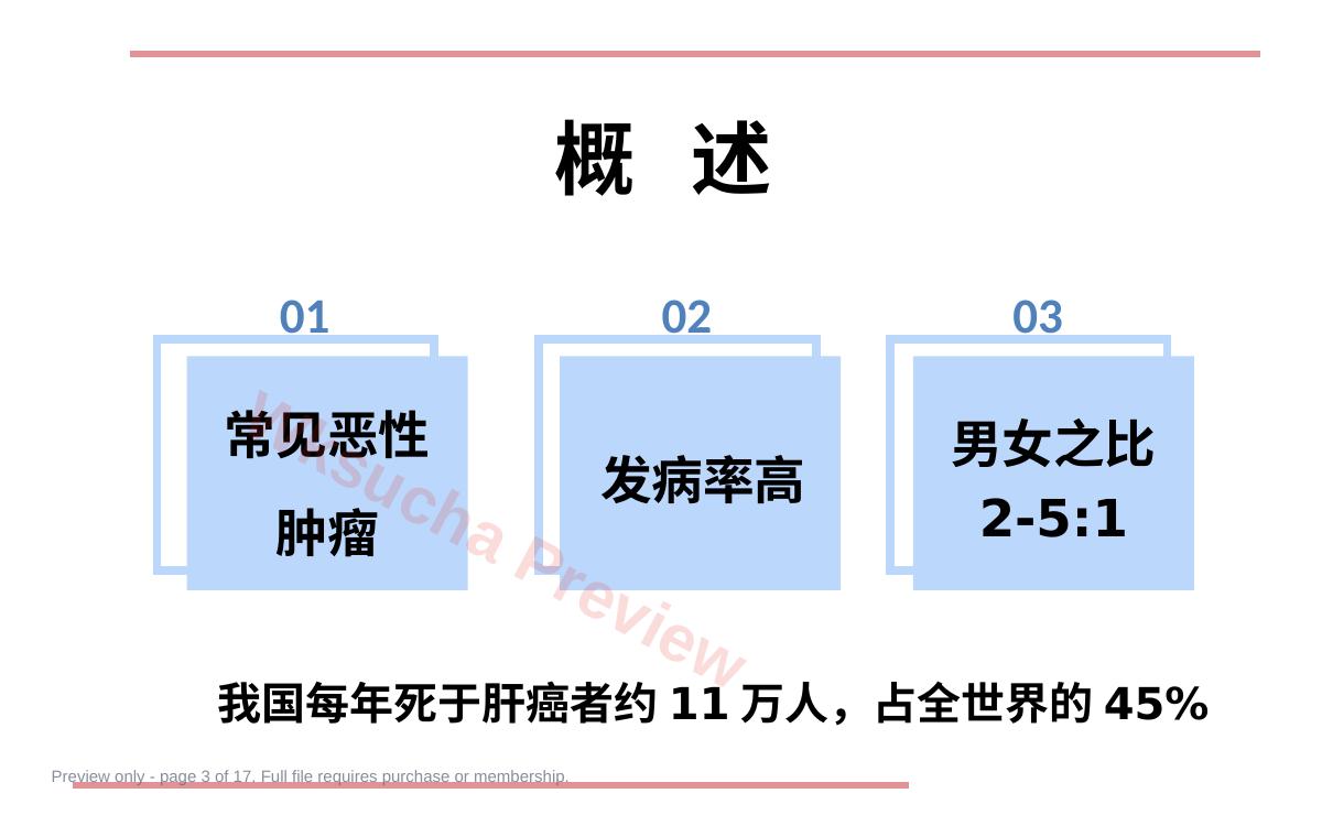 预览第 3 页