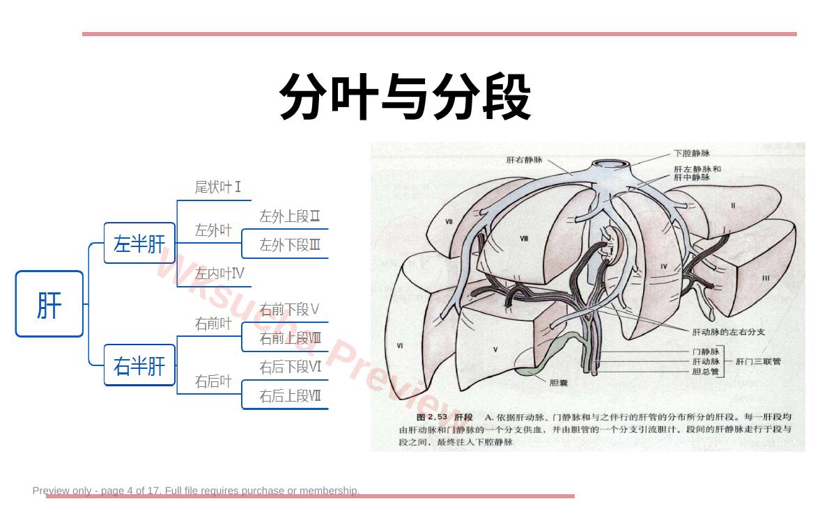 预览第 4 页