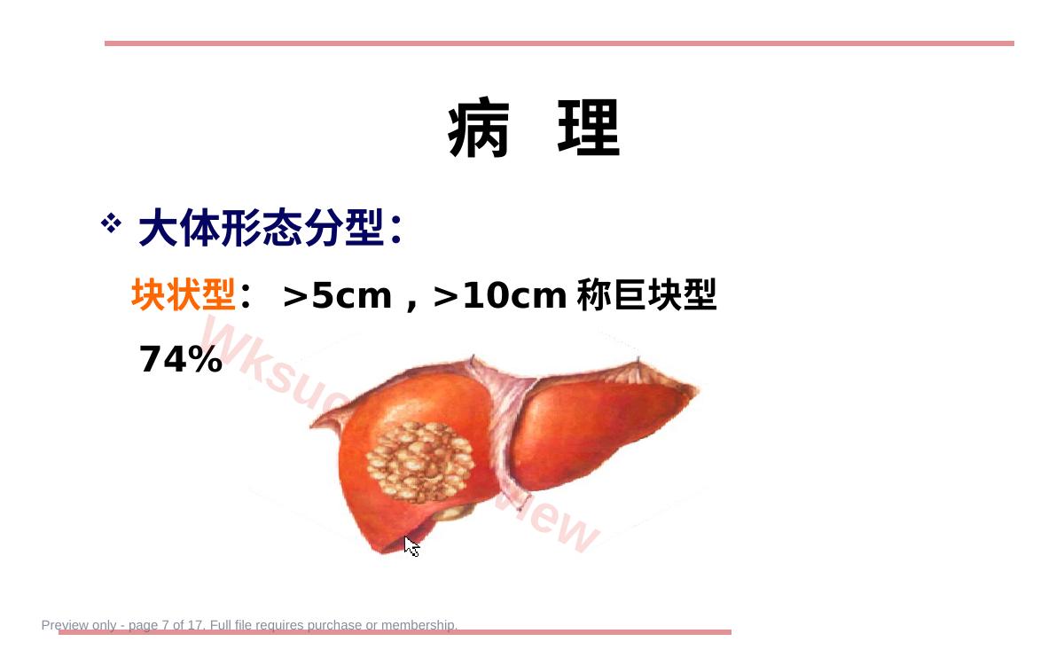 预览第 7 页