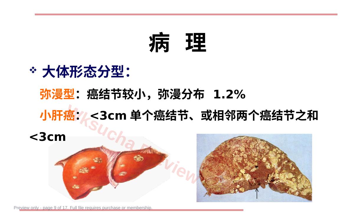 预览第 9 页