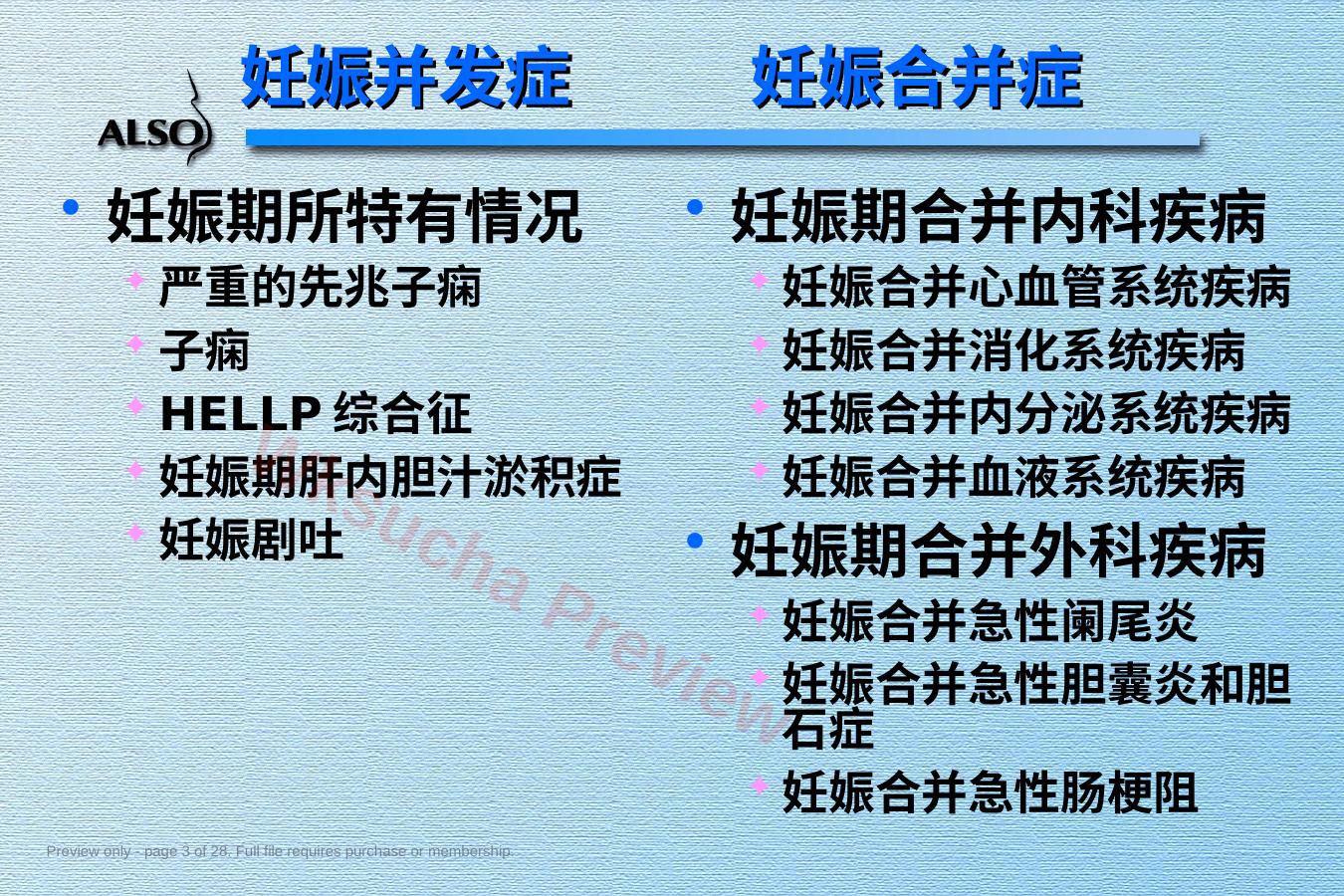 预览第 3 页