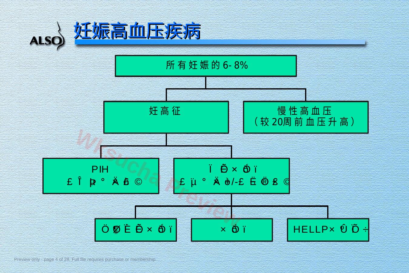 预览第 4 页