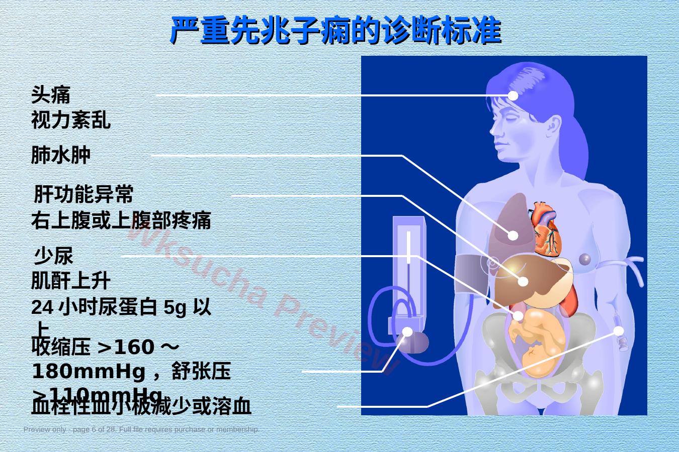 预览第 6 页