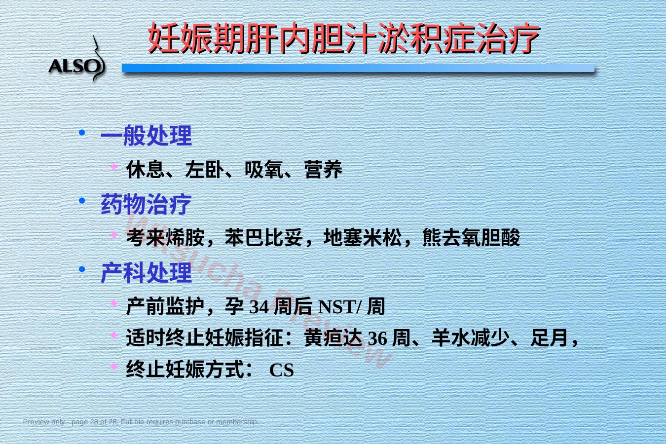 预览第 28 页