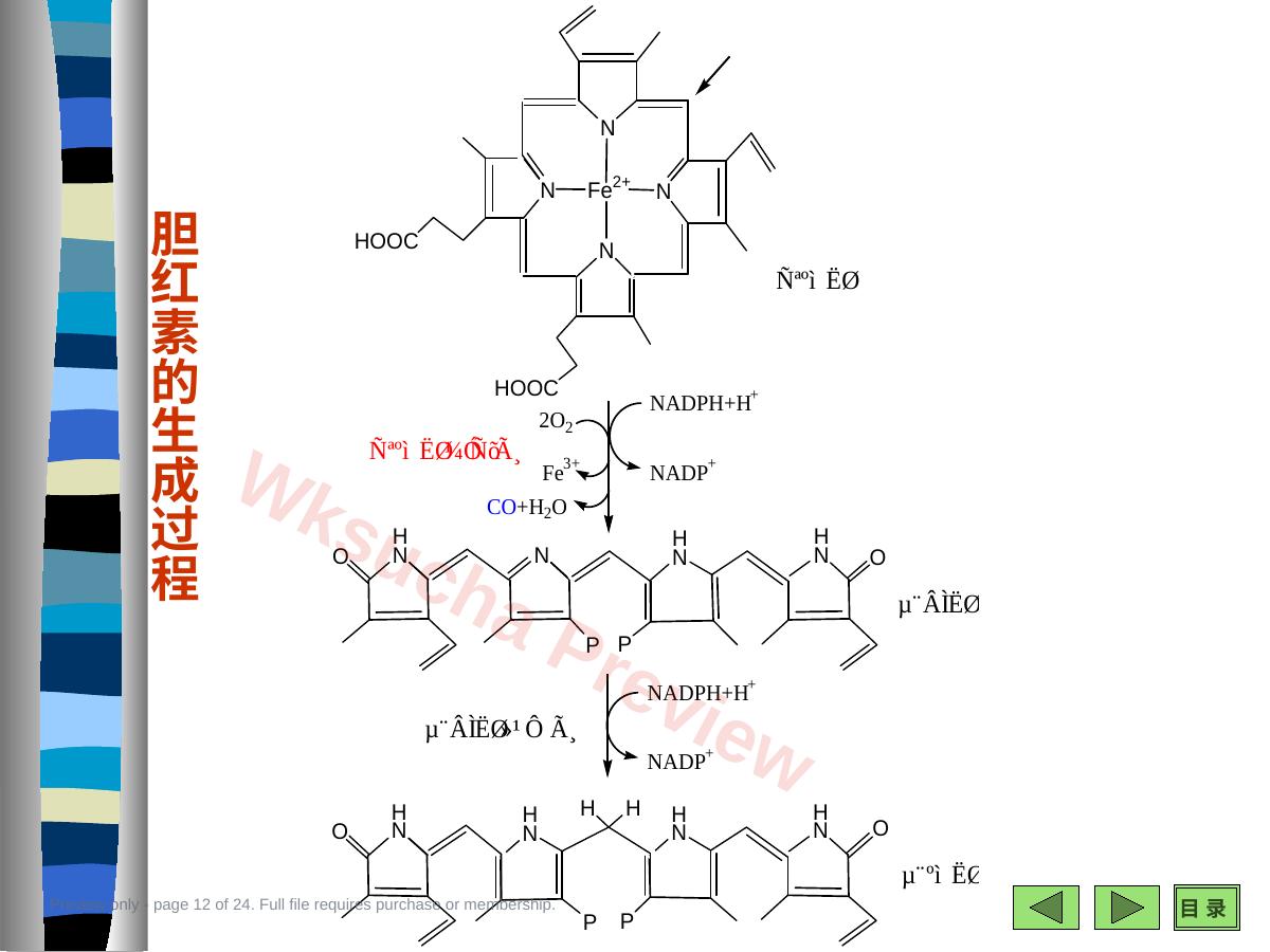 预览第 12 页