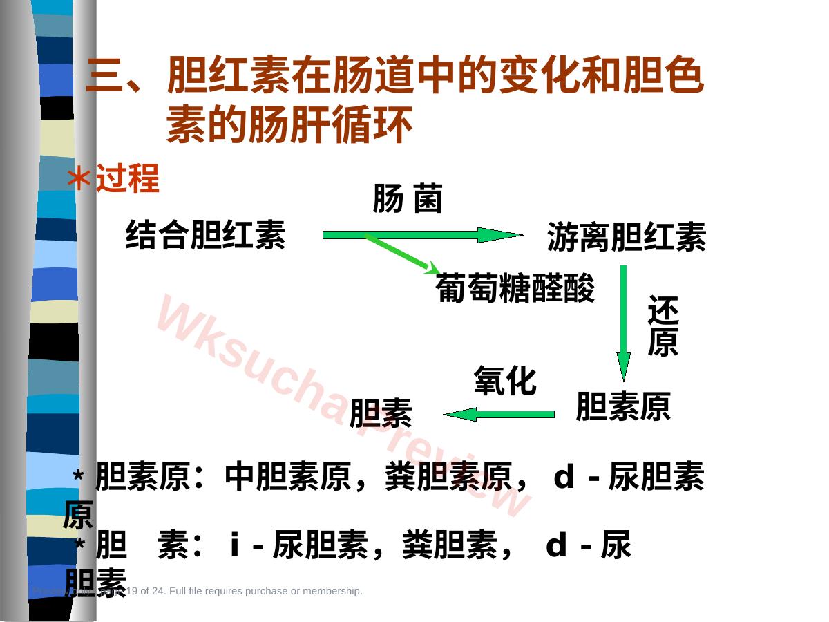 预览第 19 页