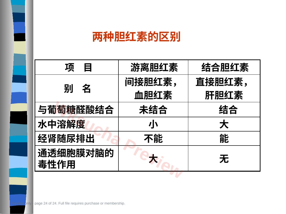 预览第 24 页