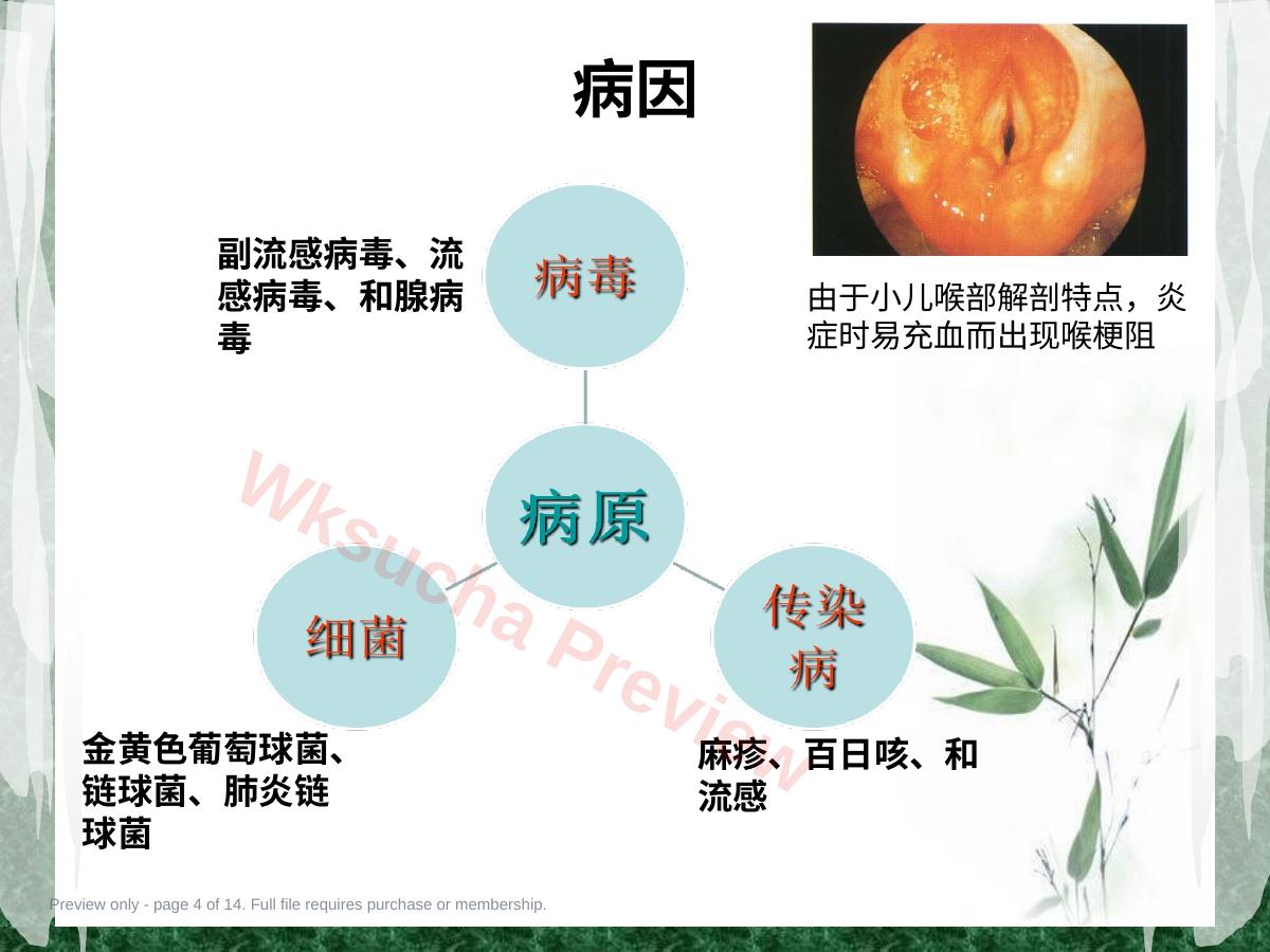 预览第 4 页