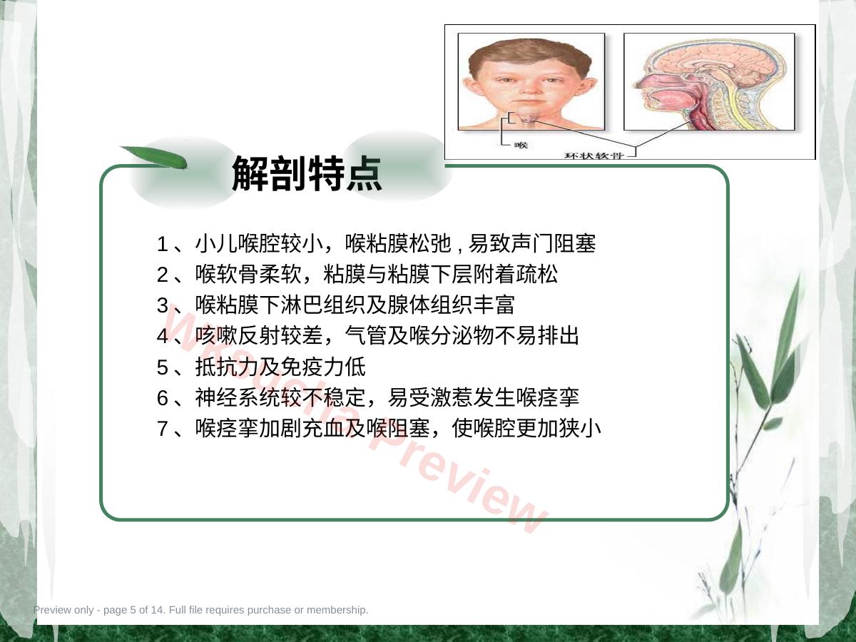 预览第 5 页