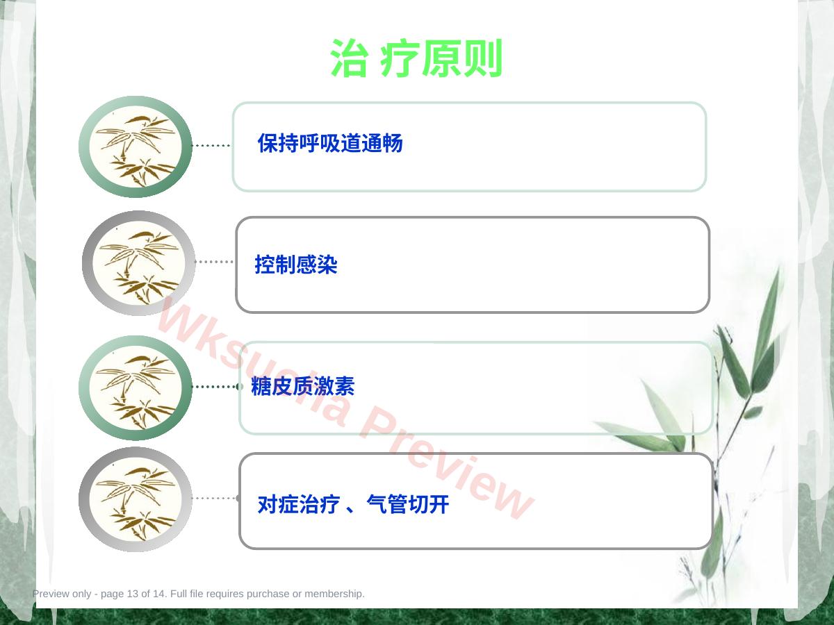 预览第 13 页