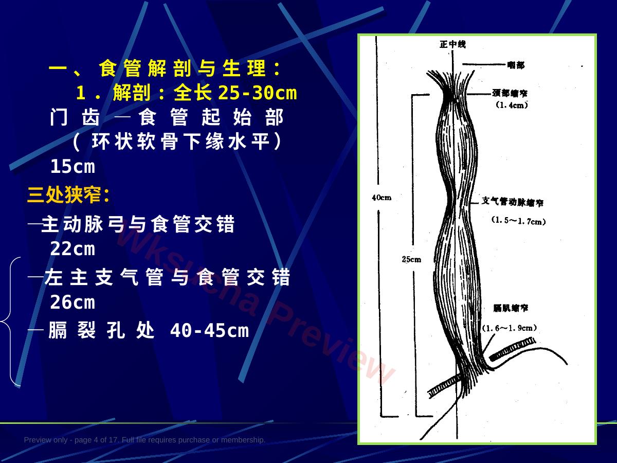 预览第 4 页