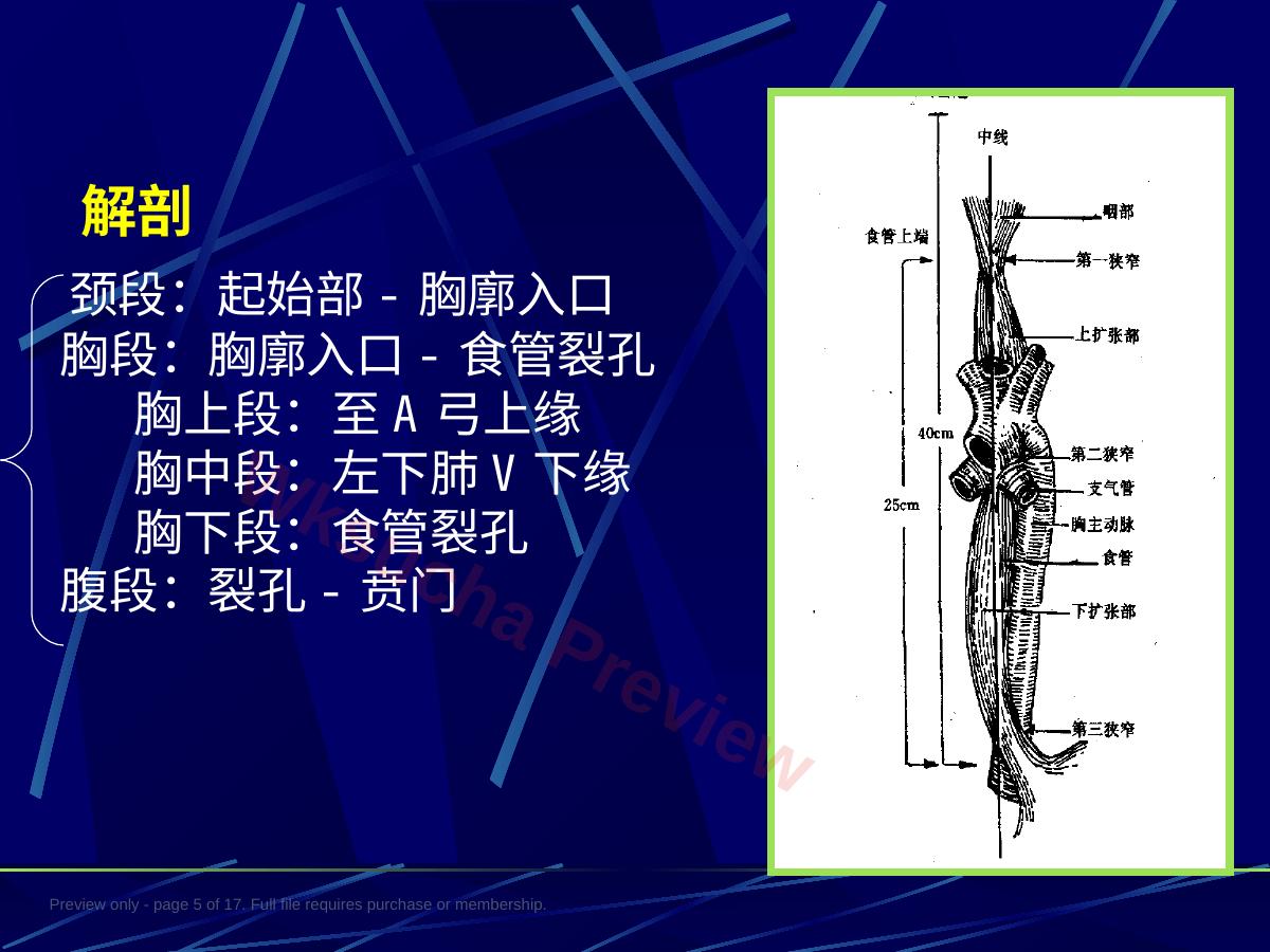 预览第 5 页