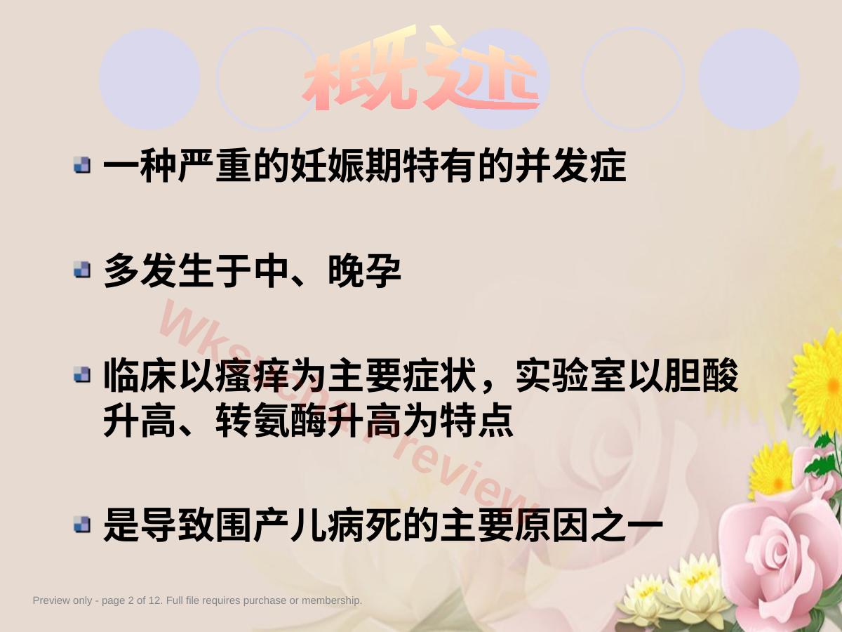 预览第 2 页