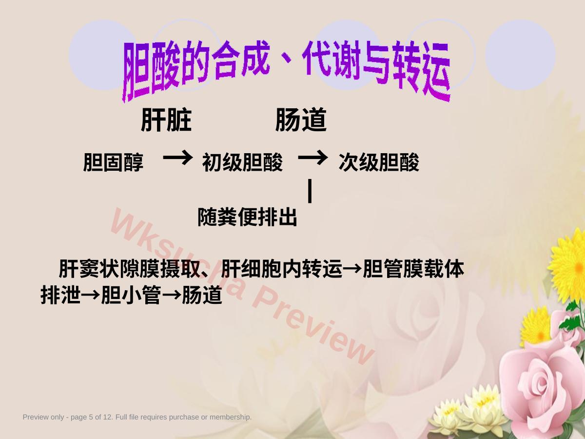 预览第 5 页