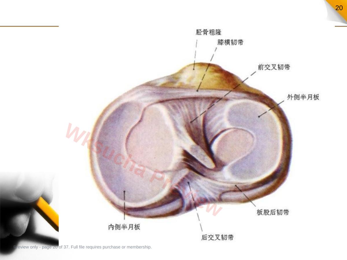 预览第 20 页