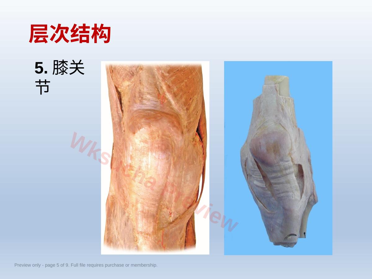 预览第 5 页