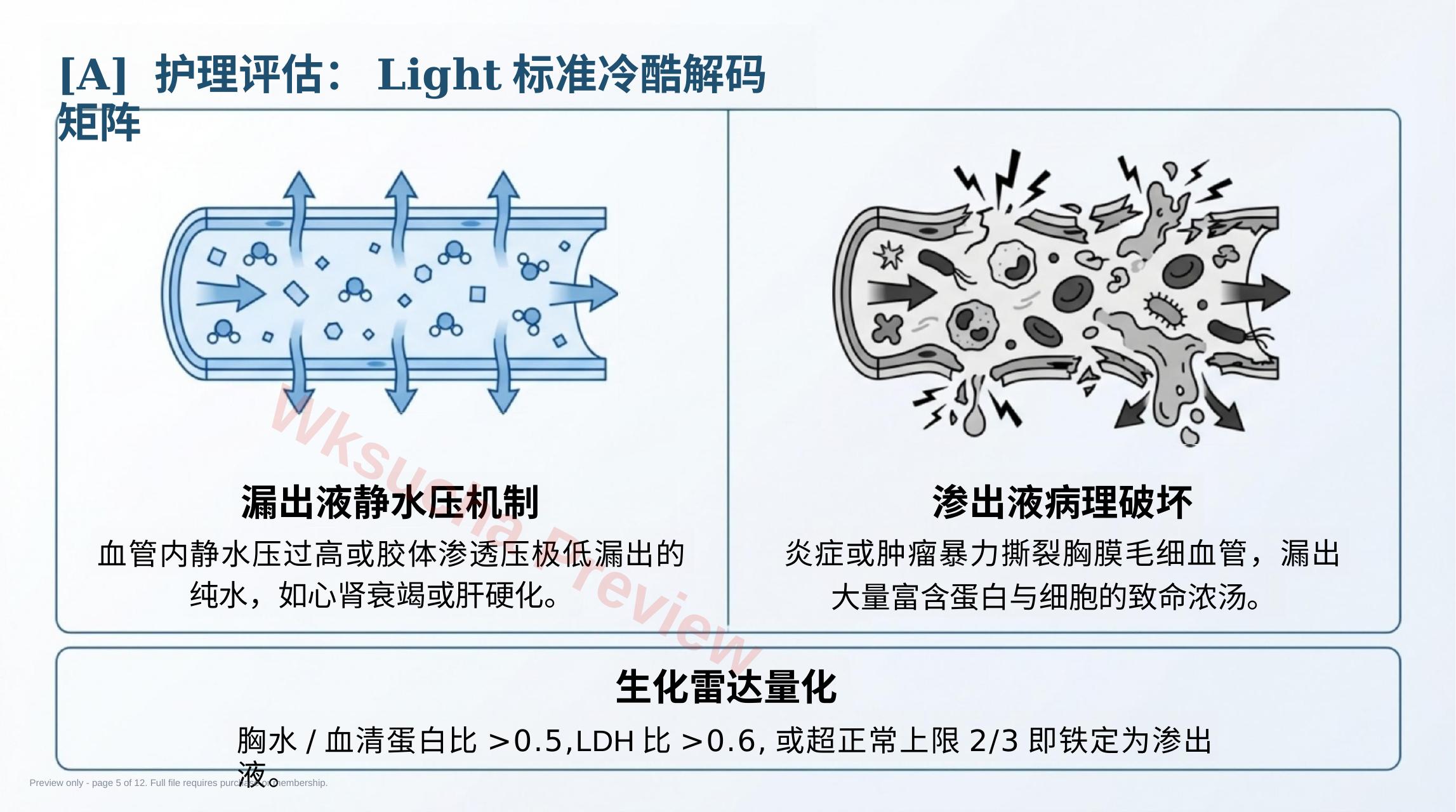 预览第 5 页