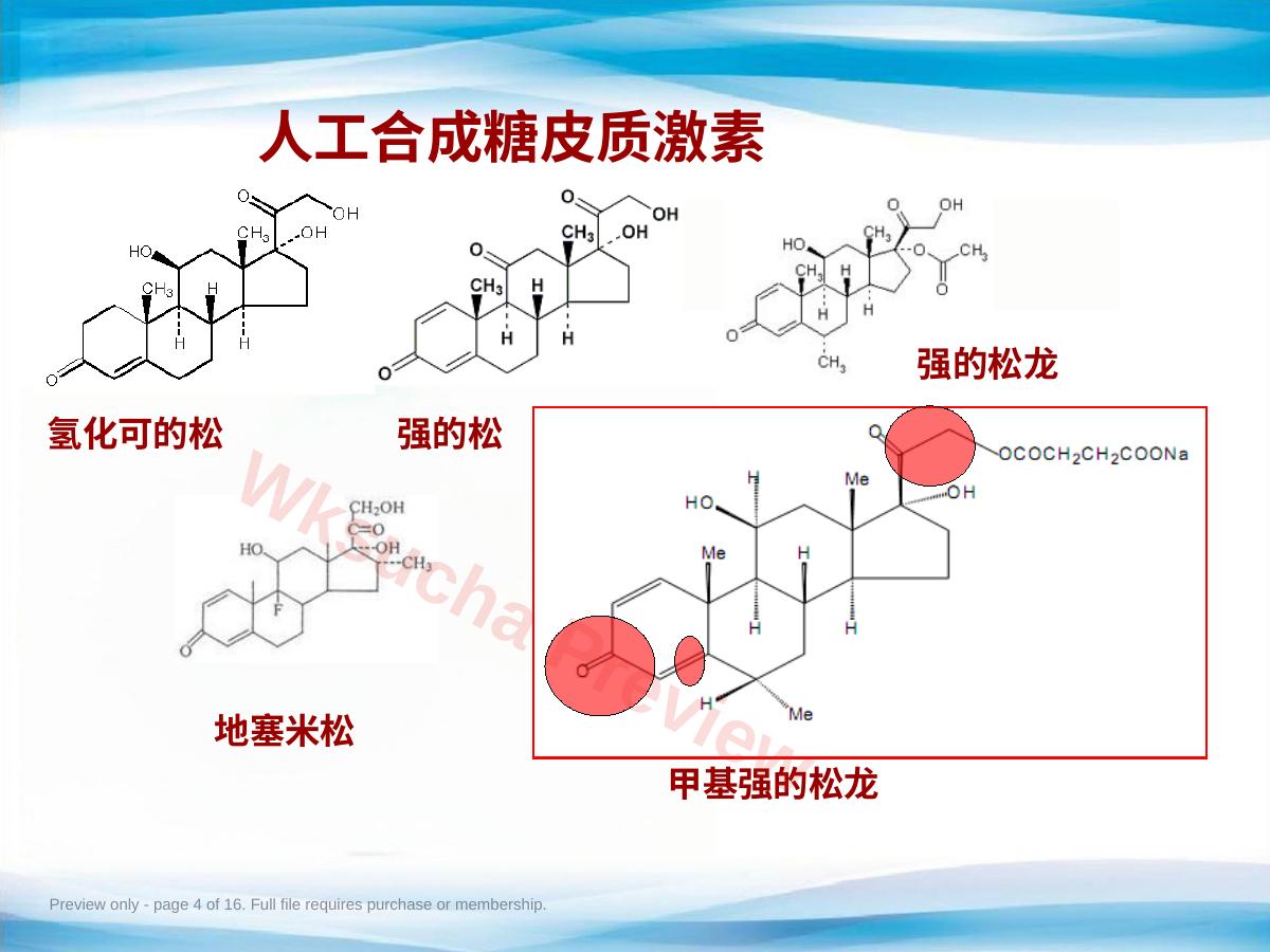 预览第 4 页
