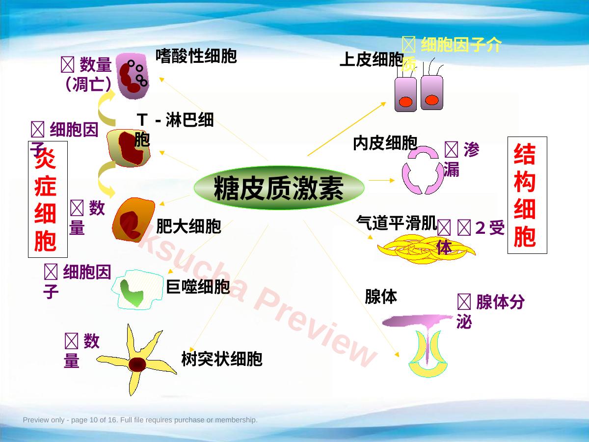 预览第 10 页