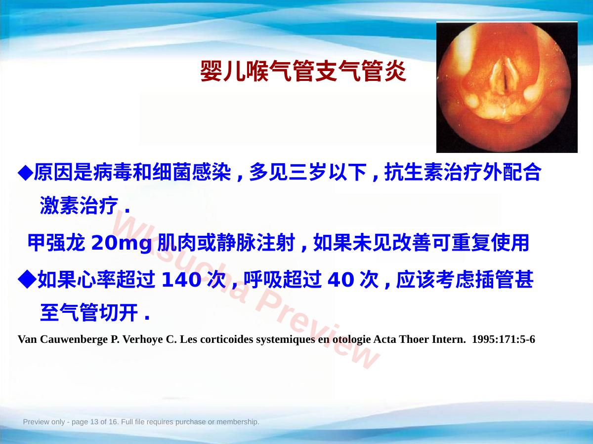 预览第 13 页